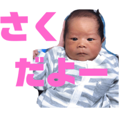 [LINEスタンプ] すずきさくⅠ
