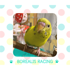 Borealis Racing Stamp ！ 2