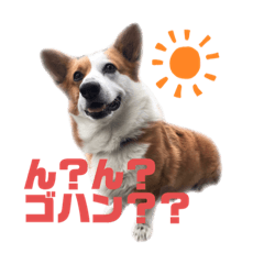 [LINEスタンプ] コーギーのレオちゃん