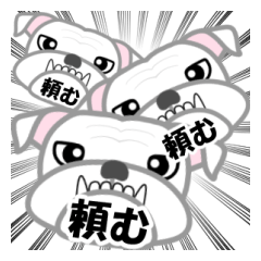 [LINEスタンプ] 白ブルの大福 8＜頼む＞