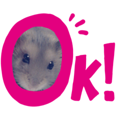 [LINEスタンプ] 毎日使えるハムスタースタンプ♪♪