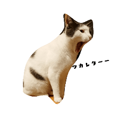 [LINEスタンプ] ニャンスタ2