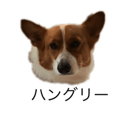 [LINEスタンプ] うーたんと一緒 8