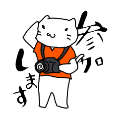 [LINEスタンプ] カメラをもったネコ