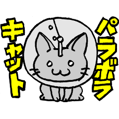 [LINEスタンプ] パラボラキャット