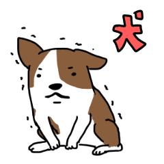 [LINEスタンプ] Fさん家のコーギーの画像（メイン）