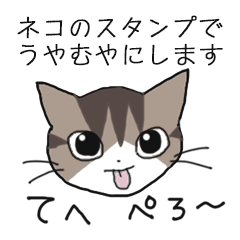 [LINEスタンプ] ネコに特化したスタンプ