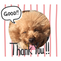 [LINEスタンプ] mayさまスタンプ第3弾
