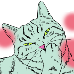 [LINEスタンプ] それぞれの猫 (英語)