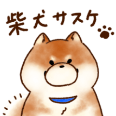 [LINEスタンプ] 柴犬サスケの日常