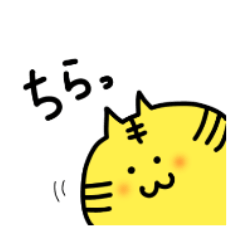 [LINEスタンプ] トラネコのモッチ【基本＊挨拶】