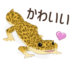 [LINEスタンプ] 大好きなヒョウモントカゲモドキ2