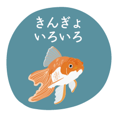 [LINEスタンプ] きんぎょいろいろ