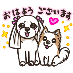 [LINEスタンプ] 可愛いシーズー犬とチワワ犬の日常スタンプ