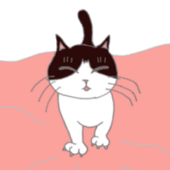 [LINEスタンプ] 三毛猫ミミの日常