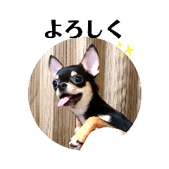 [LINEスタンプ] マルコすたんぷ
