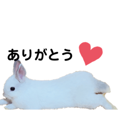 [LINEスタンプ] マシュマロン+飼い主