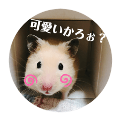 [LINEスタンプ] キンクマどんべぇ2