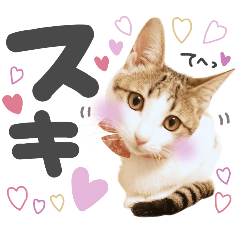 [LINEスタンプ] 姫＆三獣士☆すたんぷ