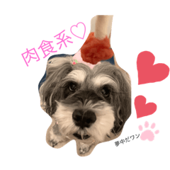 [LINEスタンプ] 今日の❤️ワンコ3