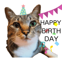 [LINEスタンプ] さくらときなこ 2