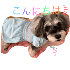 [LINEスタンプ] 日常♡ご挨拶