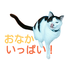 [LINEスタンプ] rhyme life4