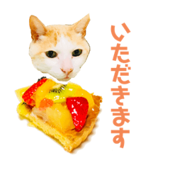 [LINEスタンプ] 猫のラロ