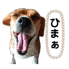 [LINEスタンプ] ノアとアミ