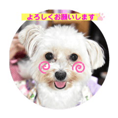 [LINEスタンプ] ポメプーミルキー④