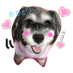 [LINEスタンプ] 今日の❤️ワンコ5
