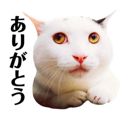 [LINEスタンプ] ショパン