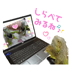 [LINEスタンプ] よもたんとバジル Vol.2