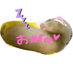 [LINEスタンプ] りん♥パスバレーフェレットの画像（メイン）