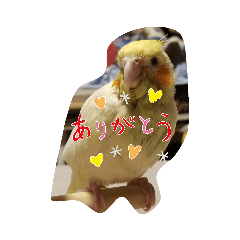 [LINEスタンプ] ゆずandぽん
