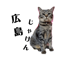 [LINEスタンプ] 広島弁のキジトラ猫[ぽてと＆タピオカ]