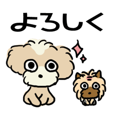 [LINEスタンプ] CoCo-LuLu