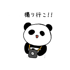 [LINEスタンプ] パンダとカメラ