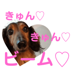 [LINEスタンプ] 幸之助さん3