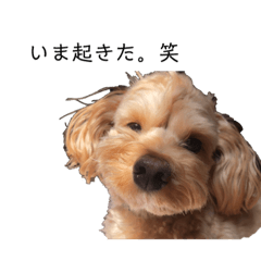 [LINEスタンプ] いまどきなpuku