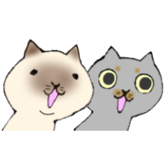 [LINEスタンプ] ねこ猫スタンプ①