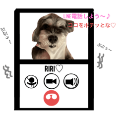 [LINEスタンプ] 今日の❤️ワンコ〜7〜