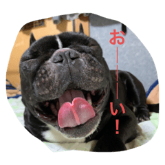 [LINEスタンプ] しうば。