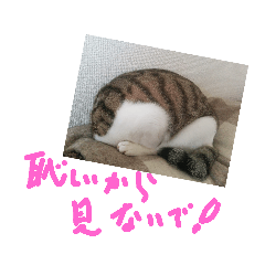 [LINEスタンプ] はまち vol.4