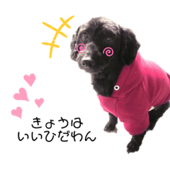 [LINEスタンプ] 家のななちゃん
