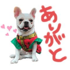 [LINEスタンプ] ヴェモさん★2