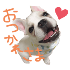 [LINEスタンプ] ヴェモさん★