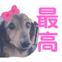 [LINEスタンプ] 幸之助さん4