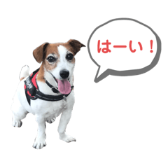 [LINEスタンプ] らむぱん 3