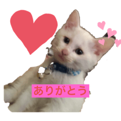 [LINEスタンプ] むうたくん、